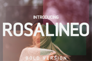 Rosalineo Bold: The Modern Heir to Helvetica's Legacy