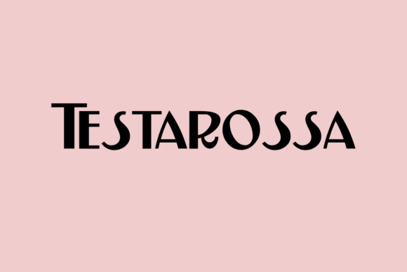 Testarossa: The Clean Sans Serif That Balances Style and Function